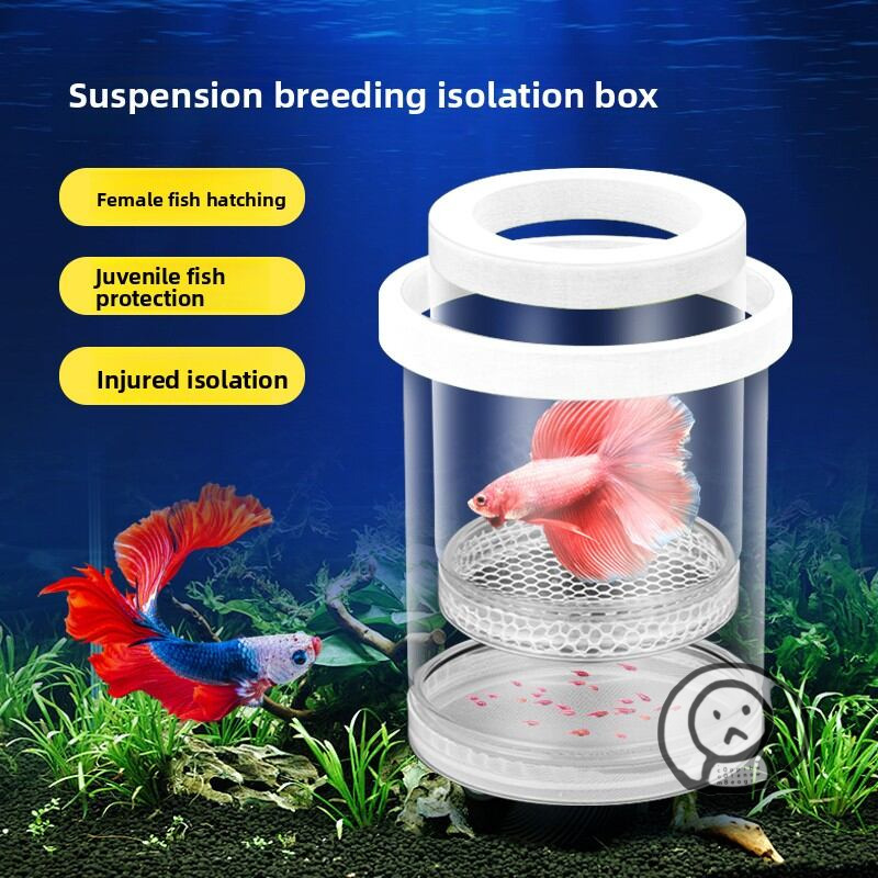 bb魚繁殖筒 觀賞魚魚缸育嬰室 孔雀魚孵化器 魚苗病魚隔離