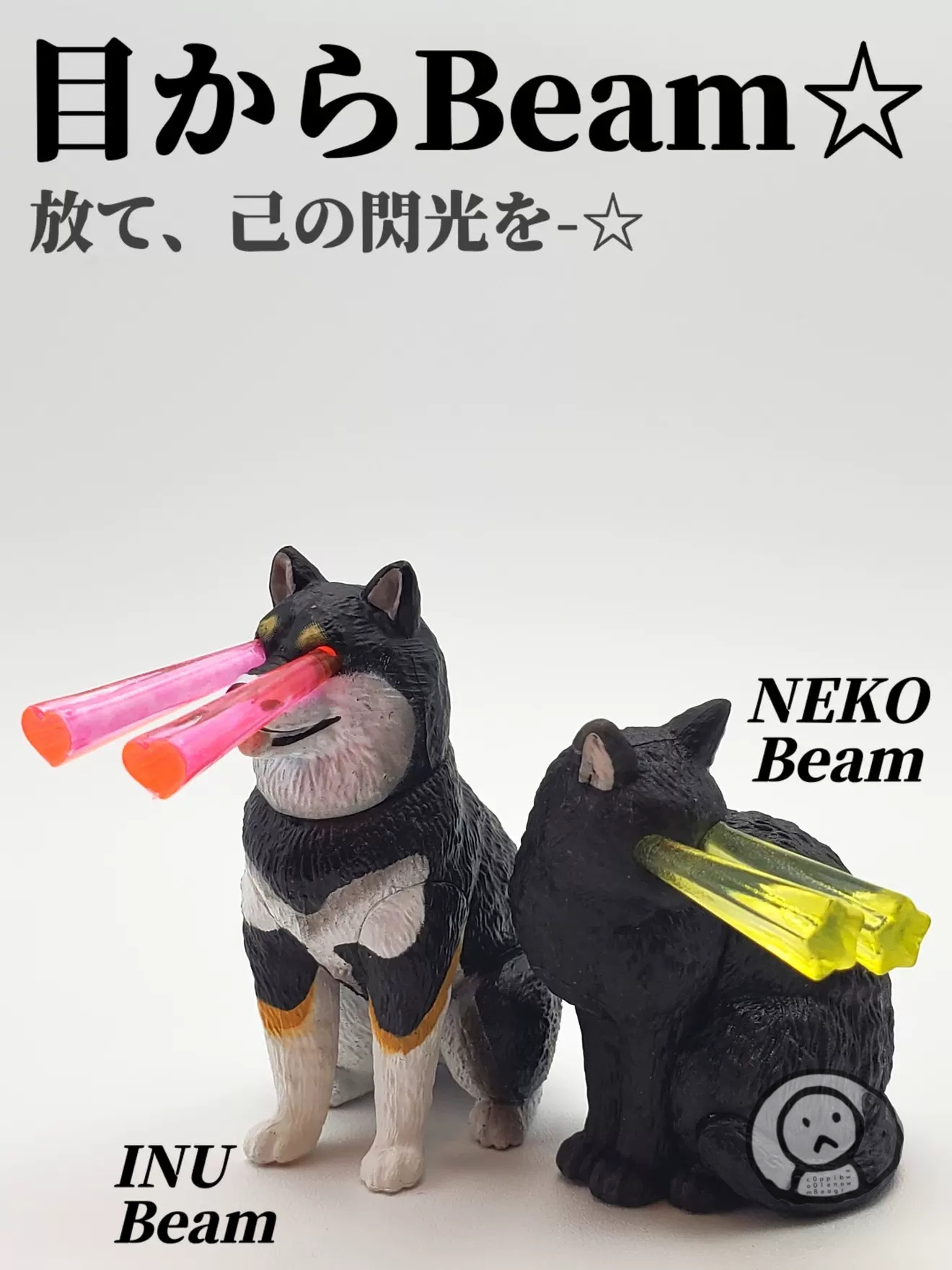 貓咪 兩眼發射光束 眼冒星光 柴犬橘貓 收藏擺件扭蛋