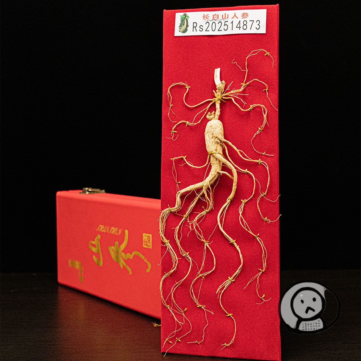 東北長白山人參 林下參禮盒 老年人體虛補品