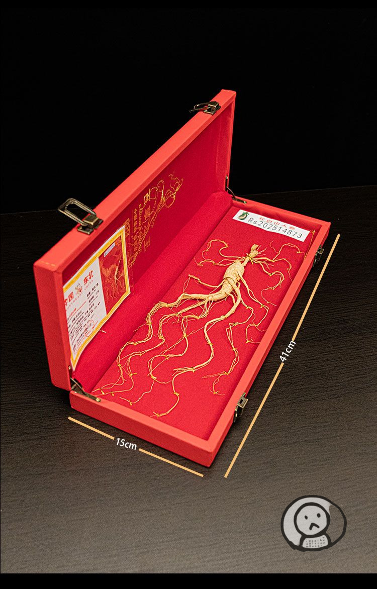 東北長白山人參 林下參禮盒 老年人體虛補品