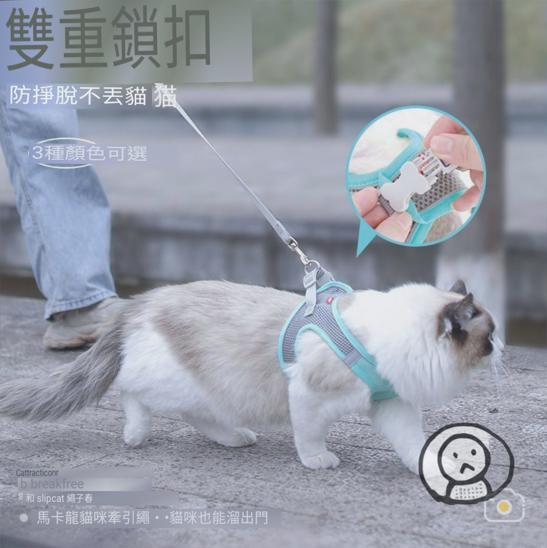 遛貓神器 貓咪胸背帶 防掙脫貓繩 貓奴日常 帶貓出門