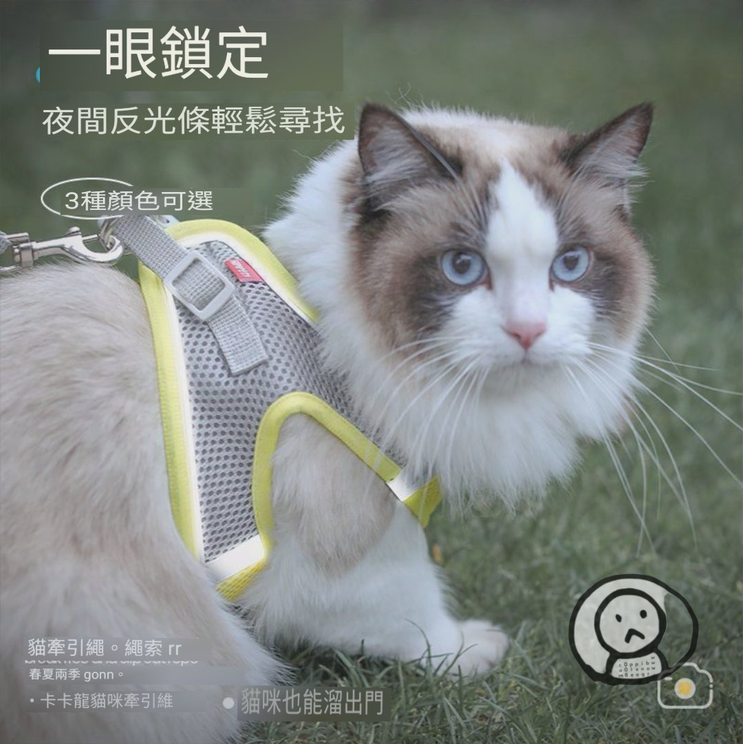 遛貓神器 貓咪胸背帶 防掙脫貓繩 貓奴日常 帶貓出門