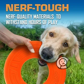 Nerf Dog 炫彩空心耐咬橡膠飛盤（水陸雙棲版）