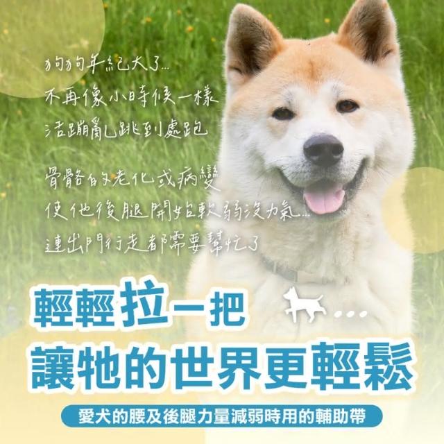 1000112887.jpg